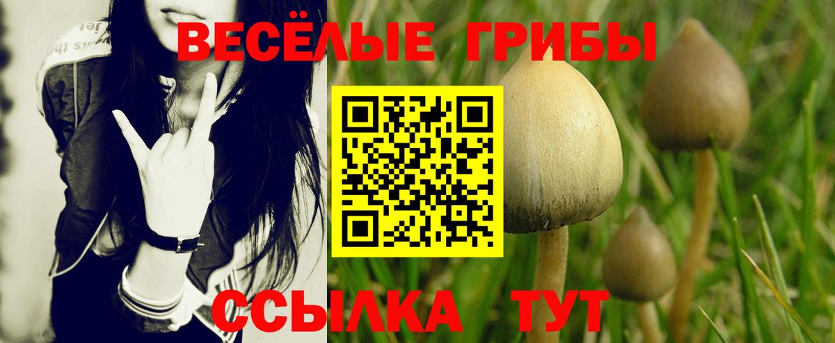 сколько стоит  Галлюциногенные грибы Cubensis  Псилоцибиновые грибы ЛСД  Вход с VPN  Нефтекамск 